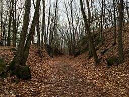 The Larkin Trail in Whittemore Glen State Park in Naugatuck Connecticut.