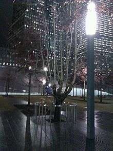 Leafless city tree at night, with street light in foreground