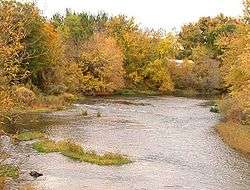 A midsized river flowing through a yellow-leaved forest