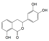 Chemical structure of thunberginol G