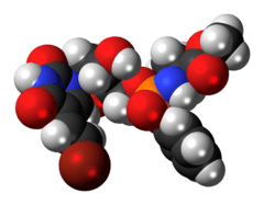 Space-filling model of the thymectacin molecule