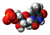 Space-filling model of the thymidine monophosphate molecule as an anion, double negative charge