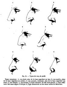 Image showing drawings of various nasal shapes.