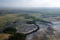 Aerial view of Everglades with sawgrass and coastal marsh