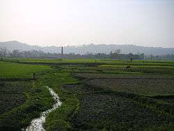 Green agricultural field, with a hill range far in the background