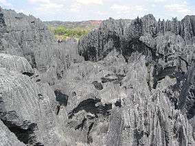 A complex, heavily eroded dark grey limestone rock formation.