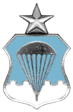 Air Force Senior Parachutist Badge