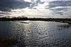 View from bird hide at Gallows Bridge Farm