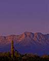 View in Cabeza Prieta National Wildlife Refuge, Arizona.jpg