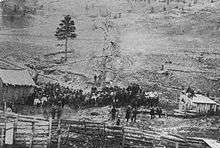 B&W photo of crowd viewing hanging of two men from a tree in 1870