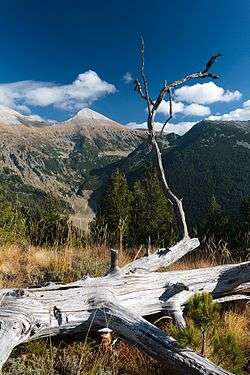 a view of Pirin