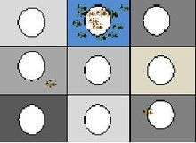 experimental design for testing color vision in honey bees.