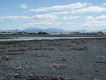 Photograph of Washdyke Barrier