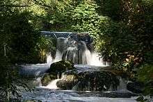 Small, rocky, wooded waterfall in summer