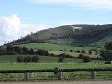 a view of the Westbury White Horse from the proposed eastern bypass