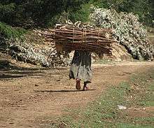 Ethiopian woman carrying large bundle of firewood outside of Addis Ababa, Ethiopia