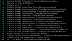 Terminal window stating "Loading module"