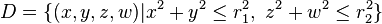 D = \{ (x,y,z,w) | x^2+y^2\leq r_1^2,\ z^2+w^2\leq r_2^2 \}