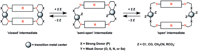 WLA Conformations alt text