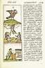 The Florentine Codex- Life in Mesoamerica II.tiff