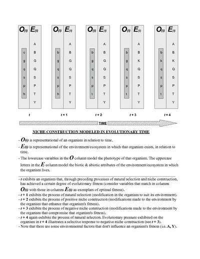 Niche Construction in Evolutionary Time.